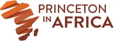 Princeton in Africa Fellowship 2027–2028